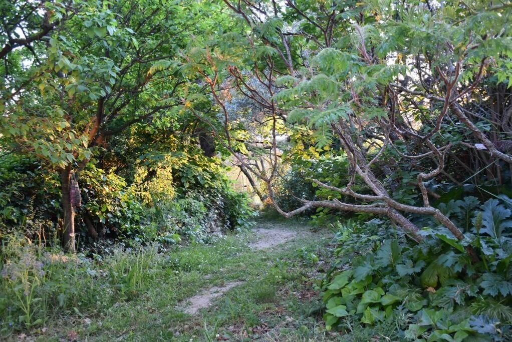 La Petite Maison Des Artistes Seguret Luaran gambar